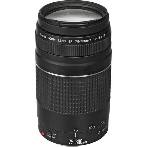 Canon EF 75-300mm EF 35-80mmレンズ2本セット Canon EFレンズセット 35-80mm Ⅳ / 75-300mm USM