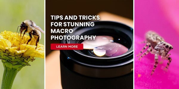 Tips and Tricks for Stunning Macro Photography
