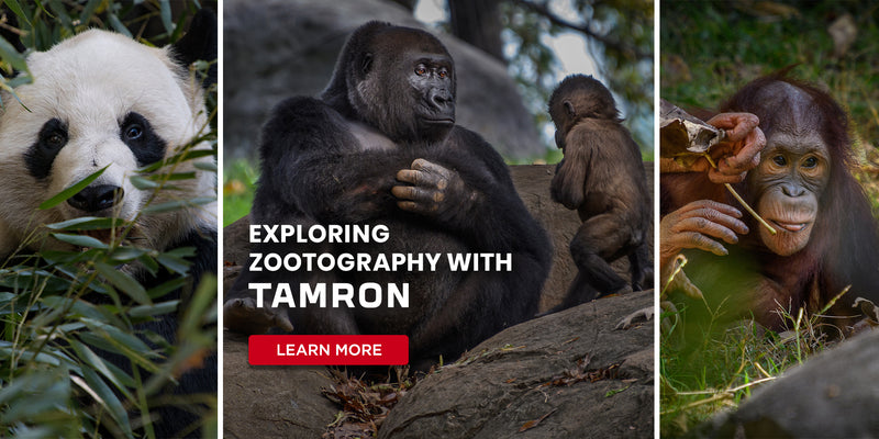 Explore Zootography with Tamron