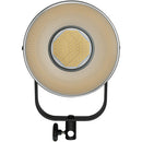 Nanlite FS-300 Daylight LED Monolight