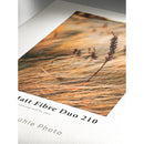 Hahnemuhle Photo Paper Sample Pack (10 Sheets, 13 x 19")