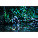 Sony FE 300mm f/2.8 GM OSS Lens (Sony E)