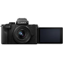 Panasonic Lumix G100D Mirrorless Camera with 12-32mm Lens