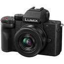 Panasonic Lumix G100D Mirrorless Camera with 12-32mm Lens