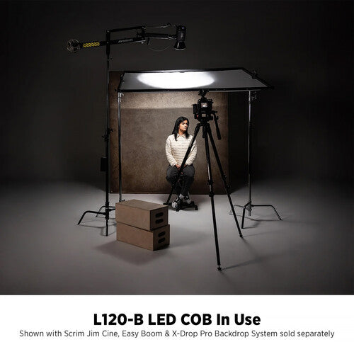 Westcott L120-B Bi-Color LED Monolight