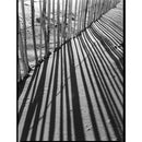 Kodak Professional Tri-X 400 Black and White Negative Film (120 Roll Film, 5-Pack)