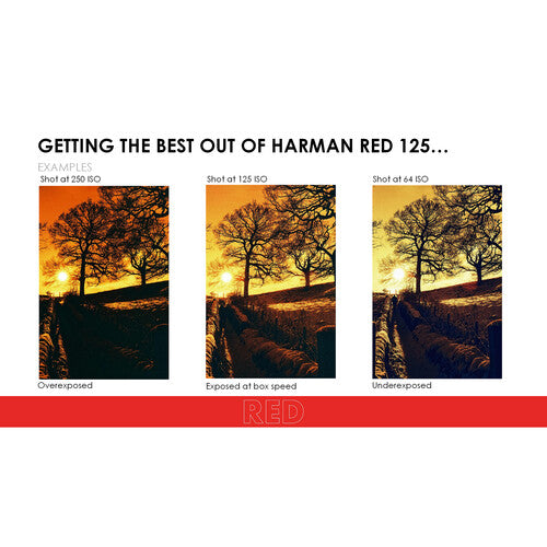 HARMAN technology Red 125 Redscale Color Negative Film (35mm Roll Film, 36 Exposures)