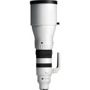 Sigma 300-600mm f/4 DG OS Sports Lens (L-Mount)