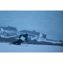 Sigma 300-600mm f/4 DG OS Sports Lens (L-Mount)