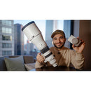 Sigma 300-600mm f/4 DG OS Sports Lens (Sony E)