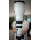 Sigma 300-600mm f/4 DG OS Sports Lens (Sony E)