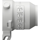 Sony FE 400-800mm f/6.3-8 G OSS Lens (Sony E)