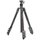 Benro Rhino CF Two Series Carbon Fiber Tripod/Monopod with Flip Locks
