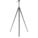 Benro CyanBird AL 2 Series, 5 Section Tripod w/ FS20PROC501 Hybrid Photo/Video Head