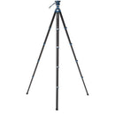 Benro CyanBird CF 2 Series, 5 Section Tripod w/ FS20PROC501 Hybrid Photo/Video Head