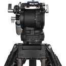 Benro BV6HPLUS 75mm Video Head