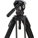 Benro BV6HPLUS 75mm Video Head