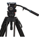 Benro BV6HPLUS 75mm Video Head