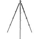 Benro Rhino CF Two Series Carbon Fiber Tripod/Monopod with Flip Locks