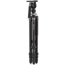 Benro Kingpod CF 2 Series, 4 Section Tripod with FS36PRO Hybrid Head