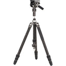 Benro Kingpod CF 2 Series, 4 Section Tripod with FS36PRO Hybrid Head