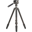Benro Kingpod CF 2 Series, 4 Section Tripod with FS36PRO Hybrid Head