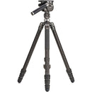 Benro Kingpod CF 2 Series, 4 Section Tripod with FS36PRO Hybrid Head
