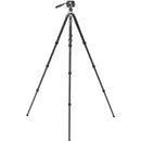 Benro Kingpod CF 2 Series, 4 Section Tripod with FS36PRO Hybrid Head