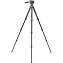 Benro Tortoise 4-Section Tripod with FS36PRO Head (Carbon Fiber)
