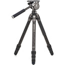 Benro Tortoise 4-Section Tripod with FS36PRO Head (Carbon Fiber)