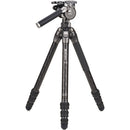 Benro Tortoise 4-Section Tripod with FS36PRO Head (Carbon Fiber)