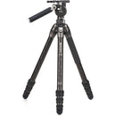Benro Tortoise 4-Section Tripod with FS36PRO Head (Carbon Fiber)