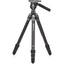 Benro Tortoise 4-Section Tripod with FS36PRO Head (Carbon Fiber)