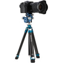 Benro GD36PT Geared Drive Three-Way Head