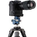 Benro GD36PT Geared Drive Three-Way Head