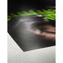 Hahnemuhle Photo Rag Pearl Paper (13 x 19", 25 Sheets)