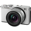 Panasonic LUMIX S9 Mirrorless Camera with 18-40mm f/4.5-6.3 Lens (White/Silver)