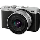 Panasonic LUMIX S 20mm f/2.5 Lens (L-Mount, Silver)