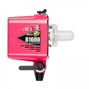 PAUL C. BUFF Alein Bees B1600 Flash Unit