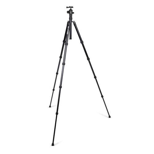 Promasteer XC-M 528K Professional Tripod Kit With Head - Black