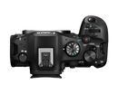 Canon EOS R6 Mark III Mirrorless Camera with RF 35mm and RF 50mm F/1.4 VCM Lenses