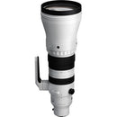 Sigma 300-600mm f/4 DG OS Sports Lens (Sony E)