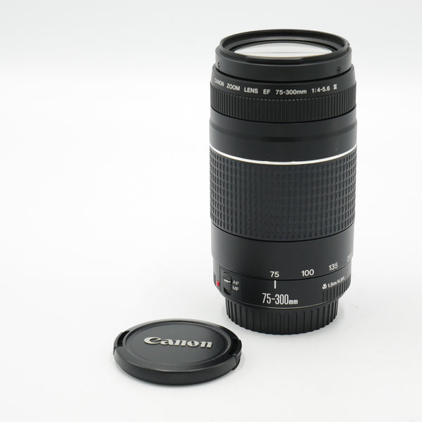 Canon EF 75-300mm F4-5.6 III 試写有 実用品 Canon EF 75-300mm F4-5.6 III 試写有 実用品