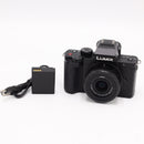 Panasonic Lumix DC-G100 Mirrorless Camera w/ 12-32mm Lens *USED*
