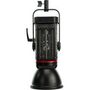 Aputure LS C300d II Daylight LED Monolight (Gold Mount)