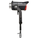 Aputure LS 600d Pro Daylight LED Monolight (Gold Mount)