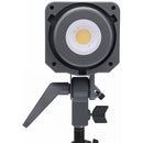 Aputure Amaran COB 100d S Daylight LED Monolight