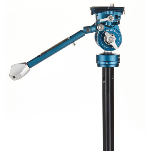 Benro CyanBird Carbon Fiber Tripod with FS20PRO 2-in-1 Pan Head