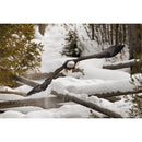 Canon RF 1200mm f/8 L IS USM Lens