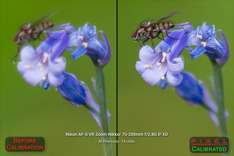 Pixel Connection Lens Calibration